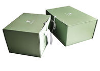Verde de empacotamento impresso logotipo das caixas do costume ondulado da entrega colorido dobrável fornecedor